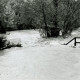 , li_0153, Hochwasser 1998