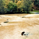 , li_0207, Hochwasser 1998