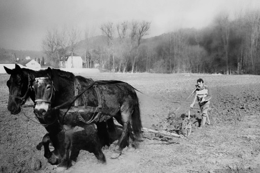 , hae_0288, Pflügen mit Pferden, wohl 1985