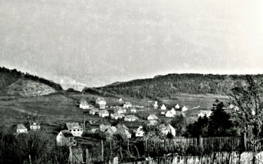 , li_0965, Am Sonnenberg, 1950