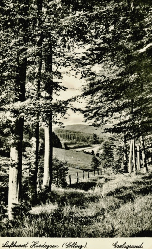 , li_1052, Transportweg durch den Eselsgrund, 1930