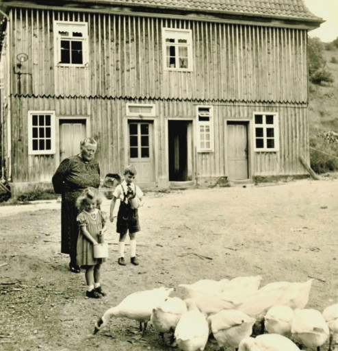 li_1222, Ölmühle, um 1940